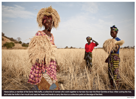 Screen Shot 2013-12-27 at 1.54.03 PM