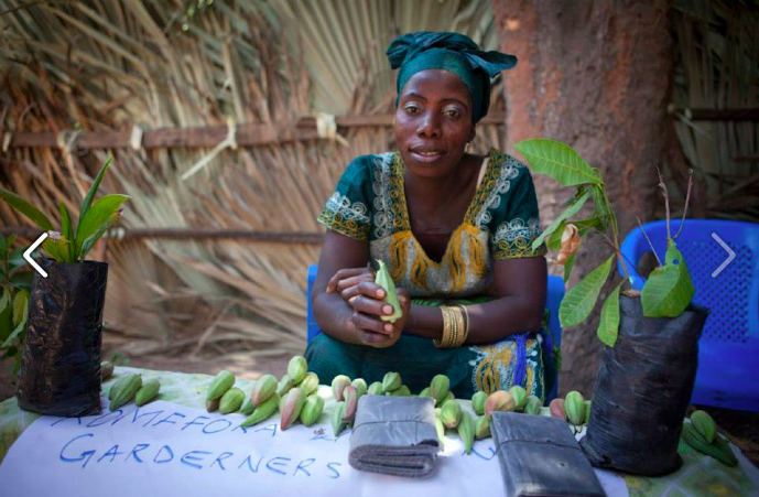 Screen shot 2014-07-14 at 7.17.16 PM