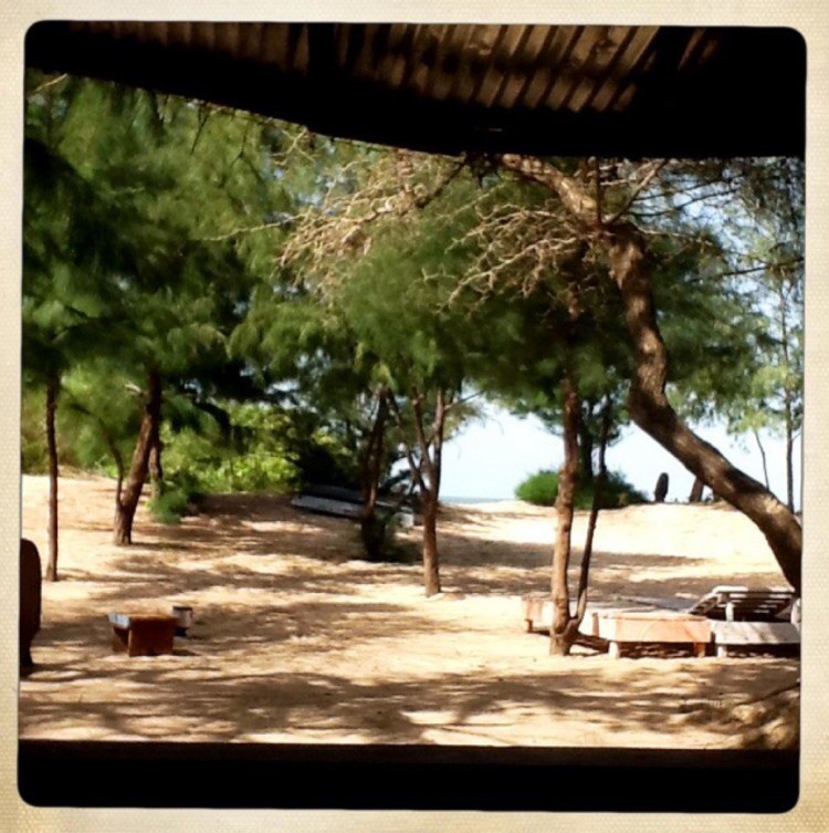 Jinack Lodge sea view