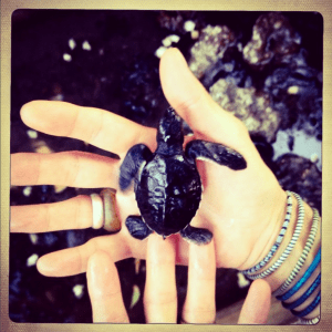 Screen Shot 2014-11-17 at 12.42.43 PM