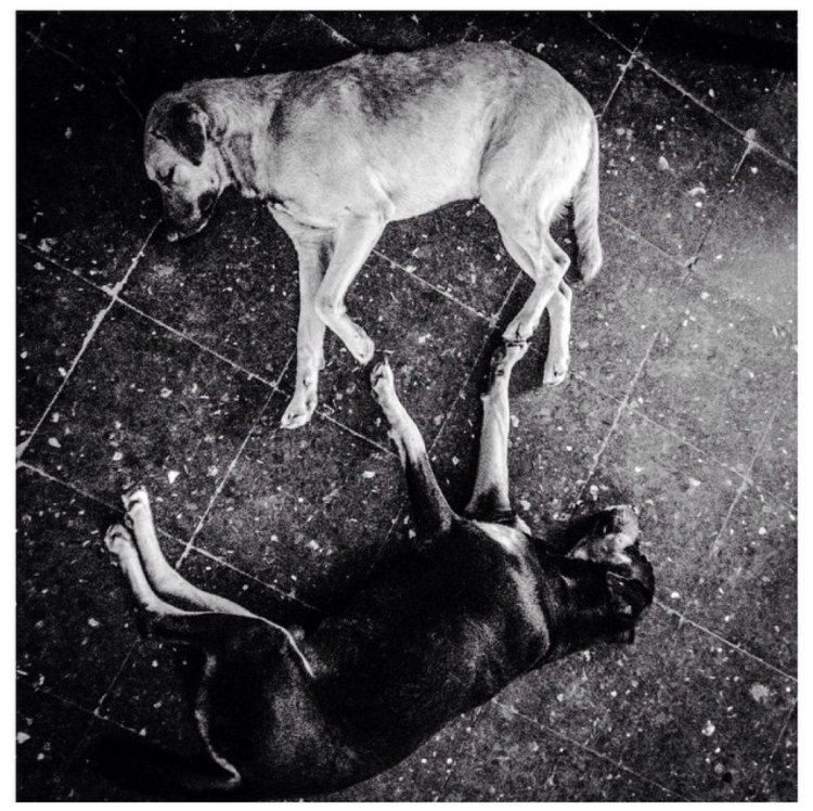 Screen Shot 2014-12-29 at 9.18.33 AM