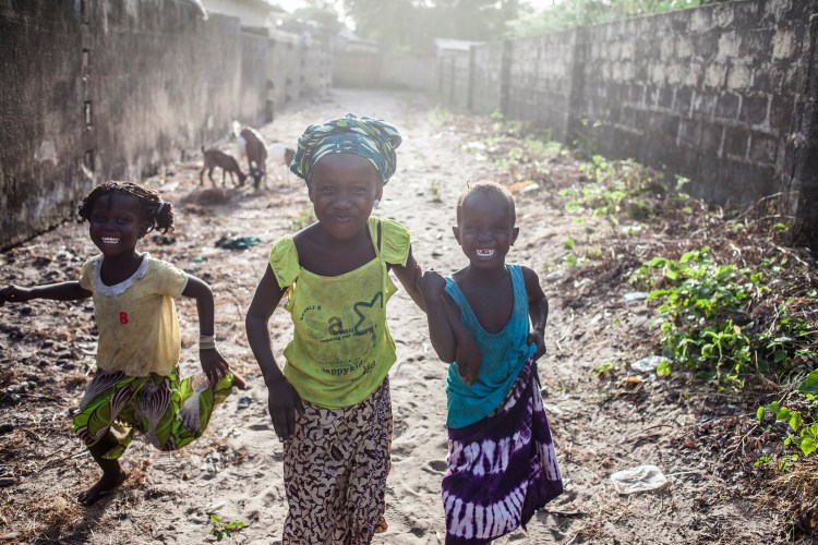 Our constant companions, during our walk around Jinack Island, Gambia © Helen Jones-Florio