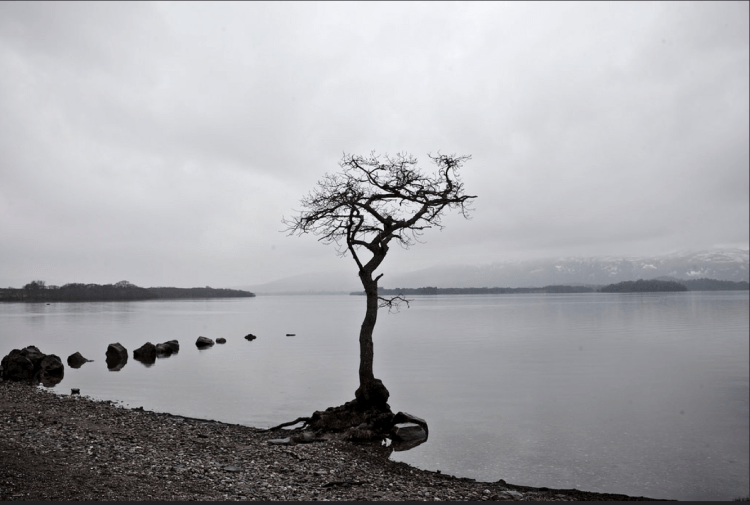 Screen Shot 2015-03-05 at 8.23.54 PM