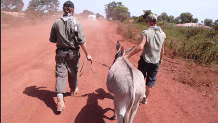 Screen Shot 2015-04-24 at 11.52.51 AM