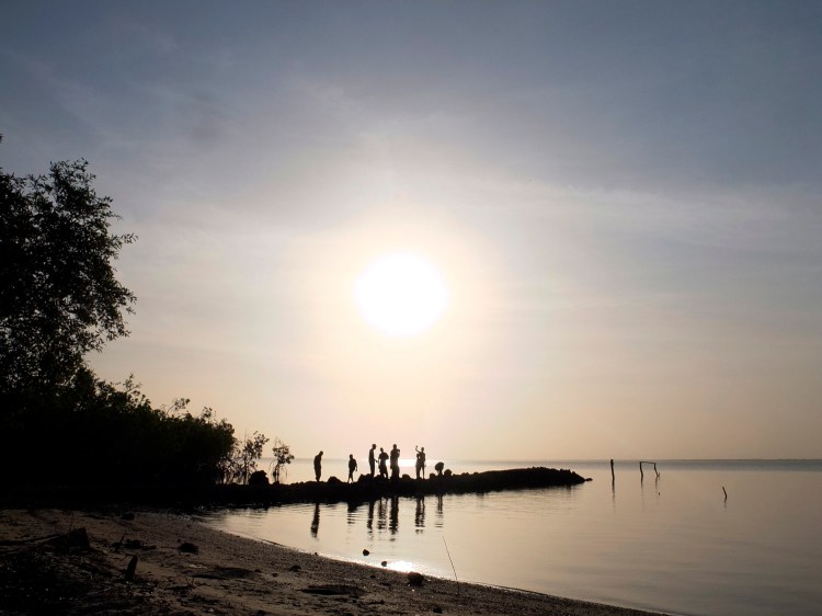 KEMOTO POINT_DUSK_SILHOUETTE_DSF4160 copy