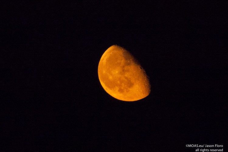 MOON ©Jason Florio 2015-2865