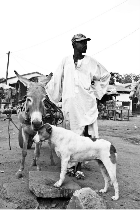 DOG & DONKEY BANSANG