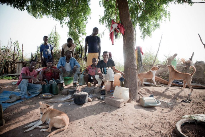 DOGS AND FARMERS KEDOUGOU