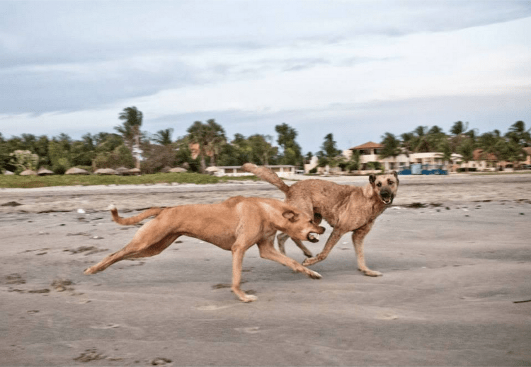 Screen Shot 2015-09-10 at 10.20.31 AM