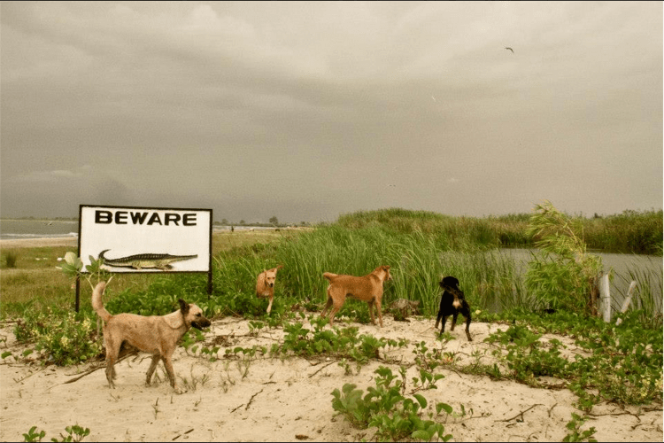 Screen Shot 2015-09-10 at 10.23.52 AM