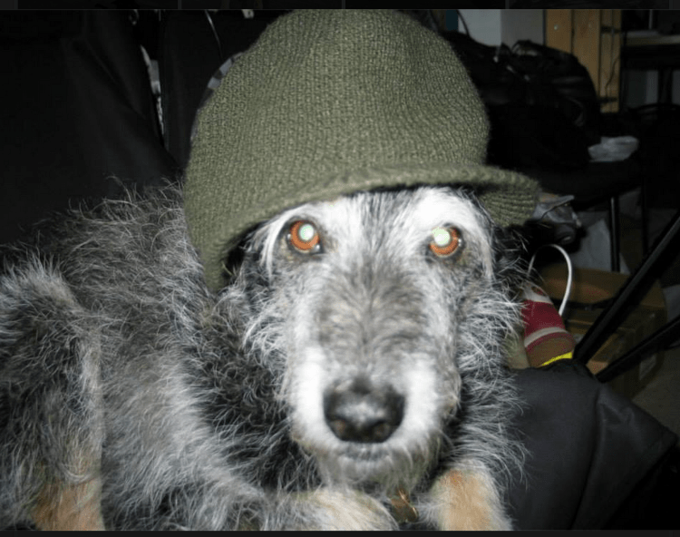 Screen Shot 2015-09-10 at 10.27.49 AM