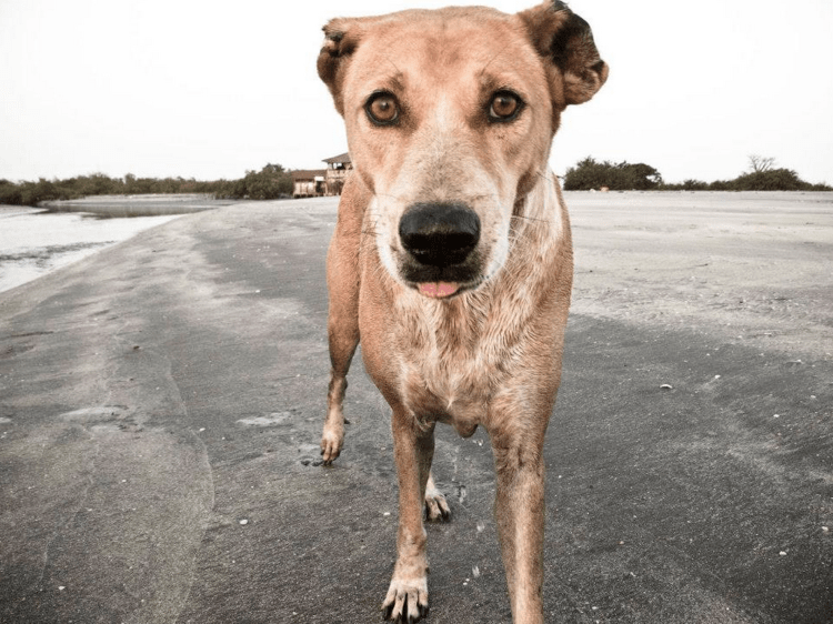 Screen Shot 2015-09-10 at 10.29.25 AM