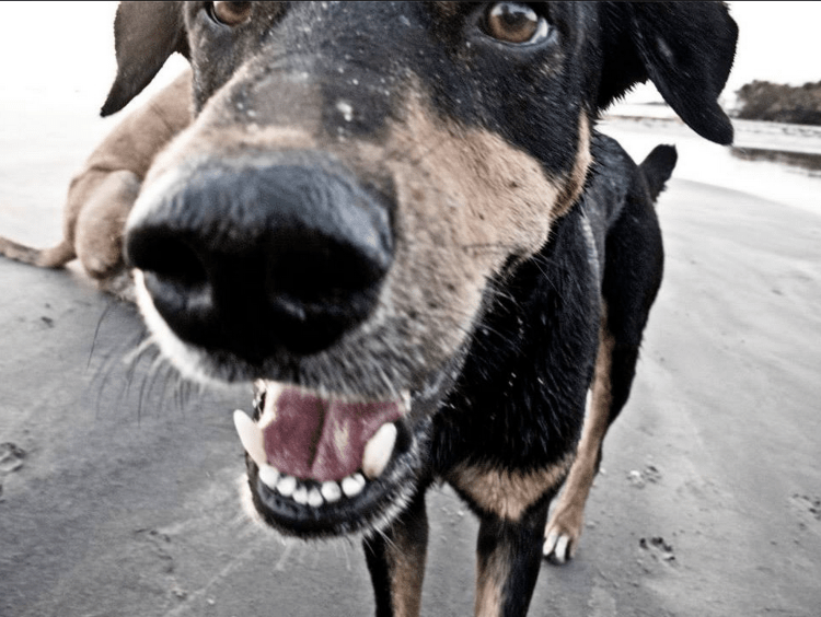 Screen Shot 2015-09-10 at 11.08.17 AM