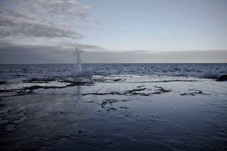 SEASHORE_SPLASH2_2016IMG_2780