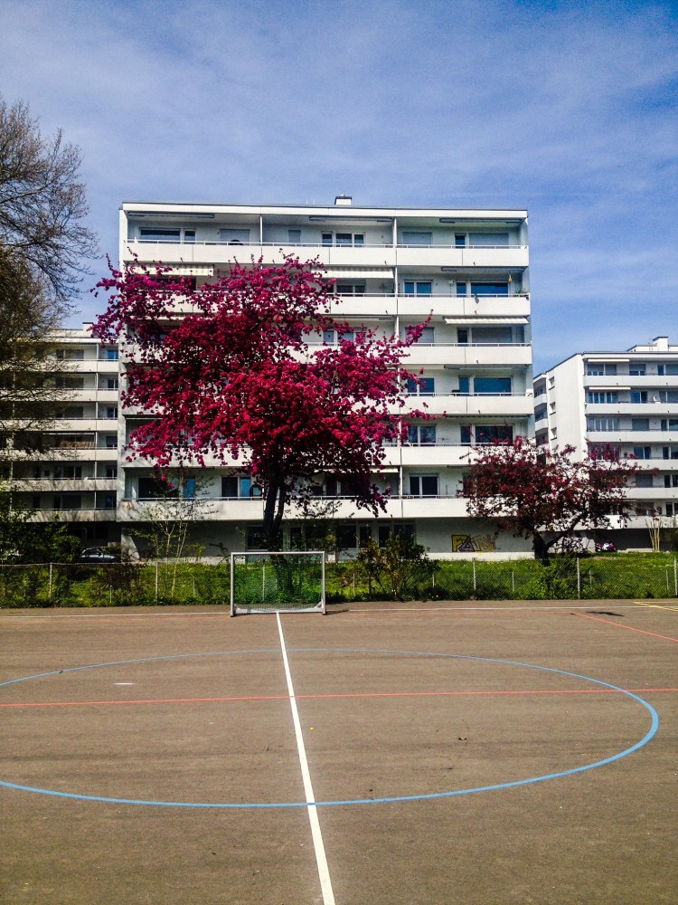 Trees and Architecture