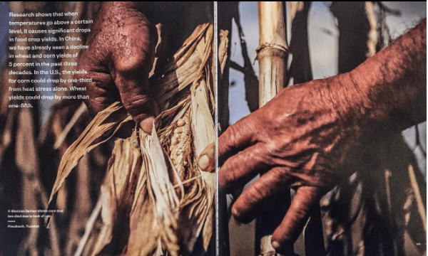 'An Inconvenient Truth' Al Gore book - image © Jason Florio