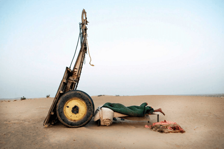 Cameleer sleeping, Rajasthan, India ©Jason Florio