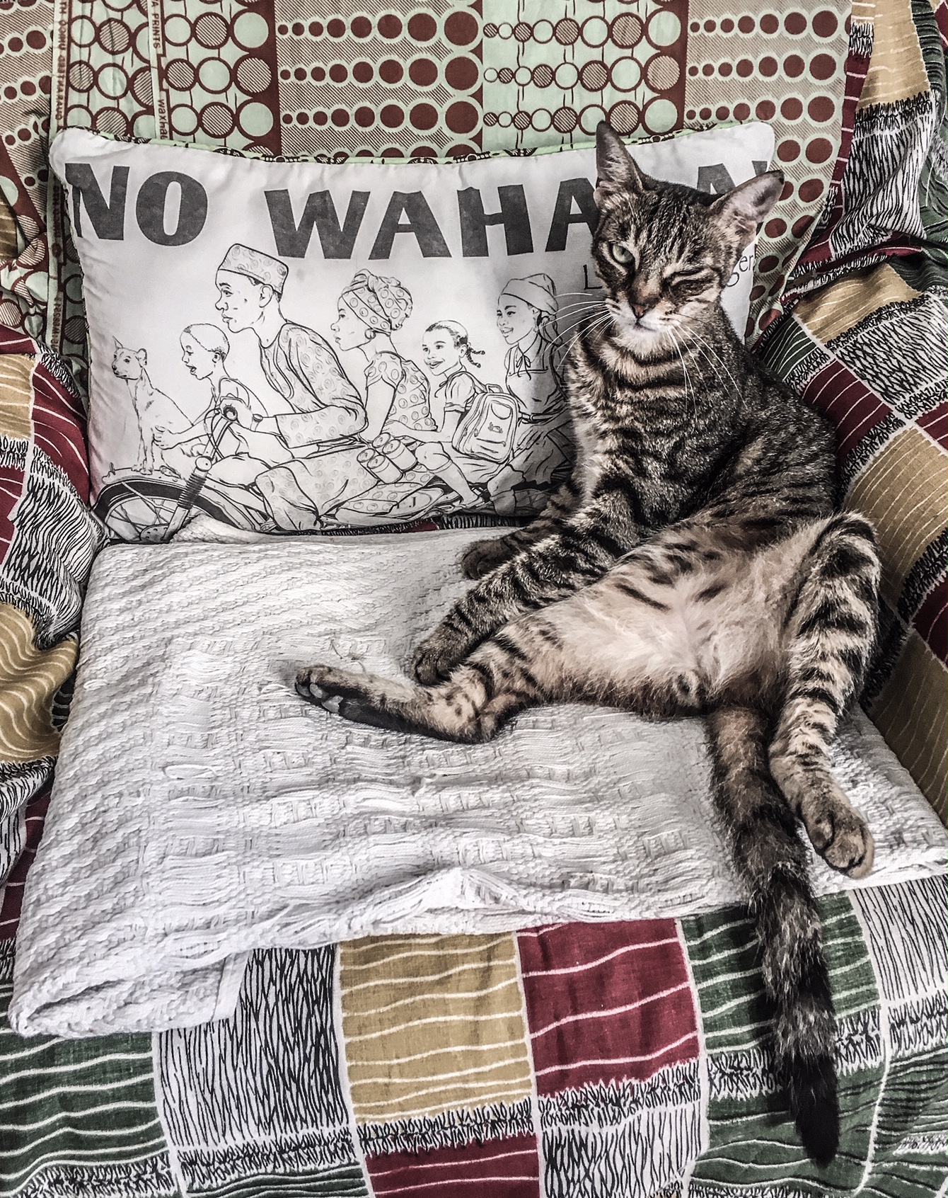 The Stray Cats of Malta - 'Tigger', a grey tabby cat, sits looking at the camera, on a cushion from Nigeria, with the words 'No Wahala' and a drawing of a family on a motorcycle on the front of it.Image ©Helen Jones-Florio