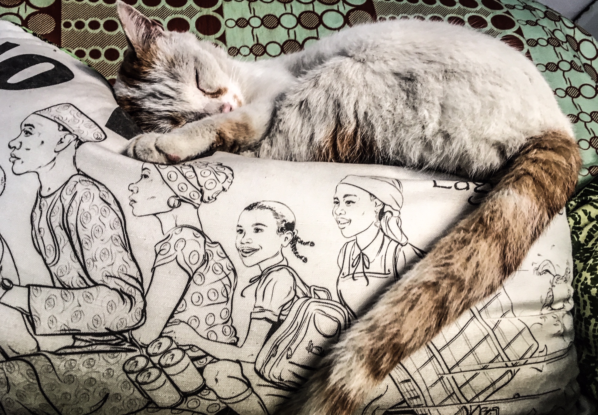 The Stray Cats of Malta - 'Choghm', a white and ginger cat, sleeps on a cushion from Nigeria, with the words 'No Wahala' and a drawing of a family on a motorcycle on the front of it.Image ©Helen Jones-Florio
