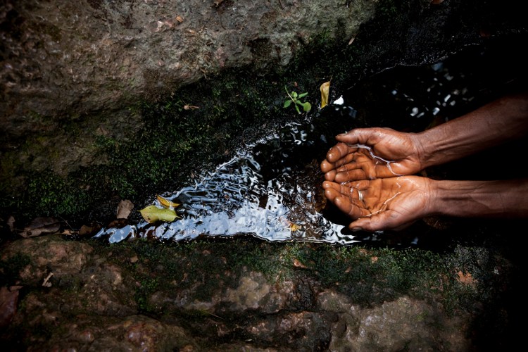Expedition Stories: A man's hands scoop up water from the source of the River Gambia, Fouta Djallon Highlands, Guinea. Image © Jason Florio