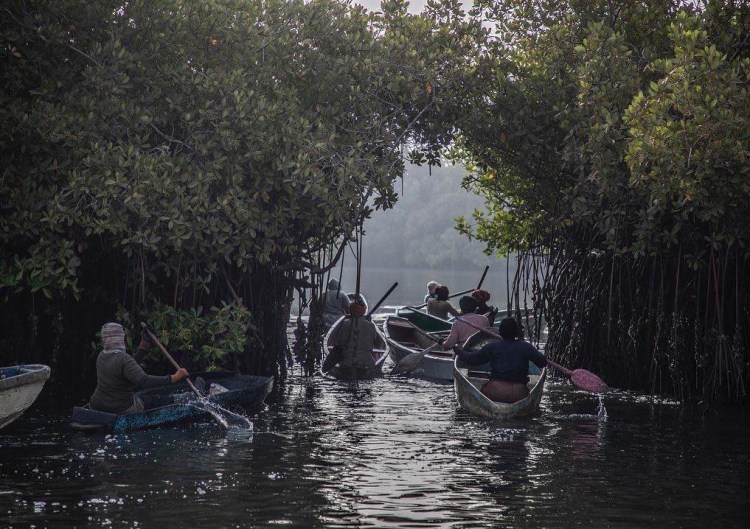 The Guardian - Stewards of the forest: A group of women in their pirogues to head out into the mangroves to harvest oysters, Lamin Balong, The Gambia, West Africa. Image ©Jason Florio