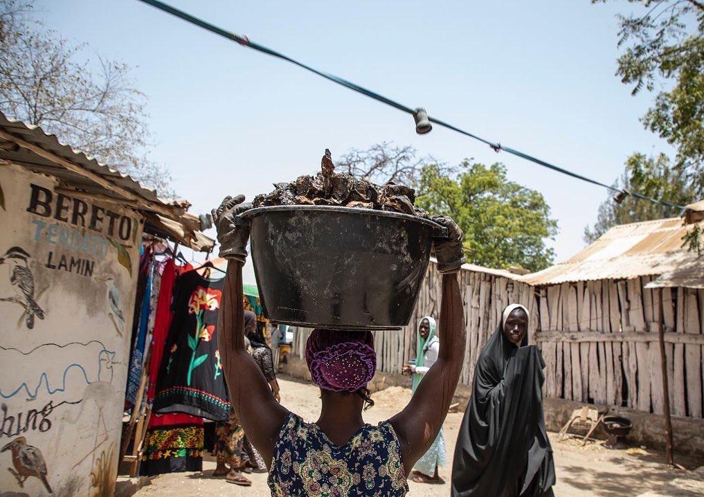 The Guardian - Stewards of the forest: A women carrying her recently harvested oysters in a bucket on her head, Lamin Balong, The Gambia, West Africa. Image ©Jason Florio