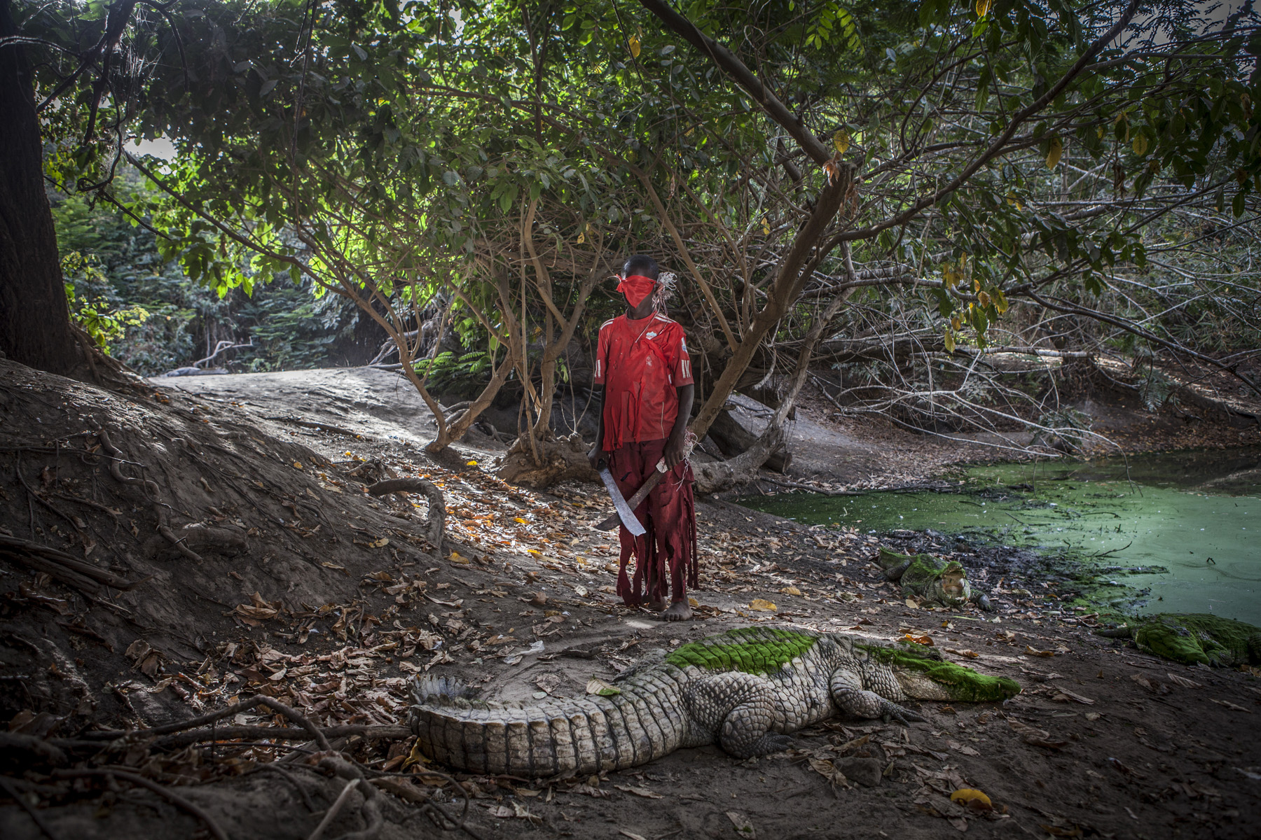 Photography prints - a young boy, wearing a mask and holding a machete, stands in front of a live crocodile, The Gambia, West Africa. Image ©Jason Florio