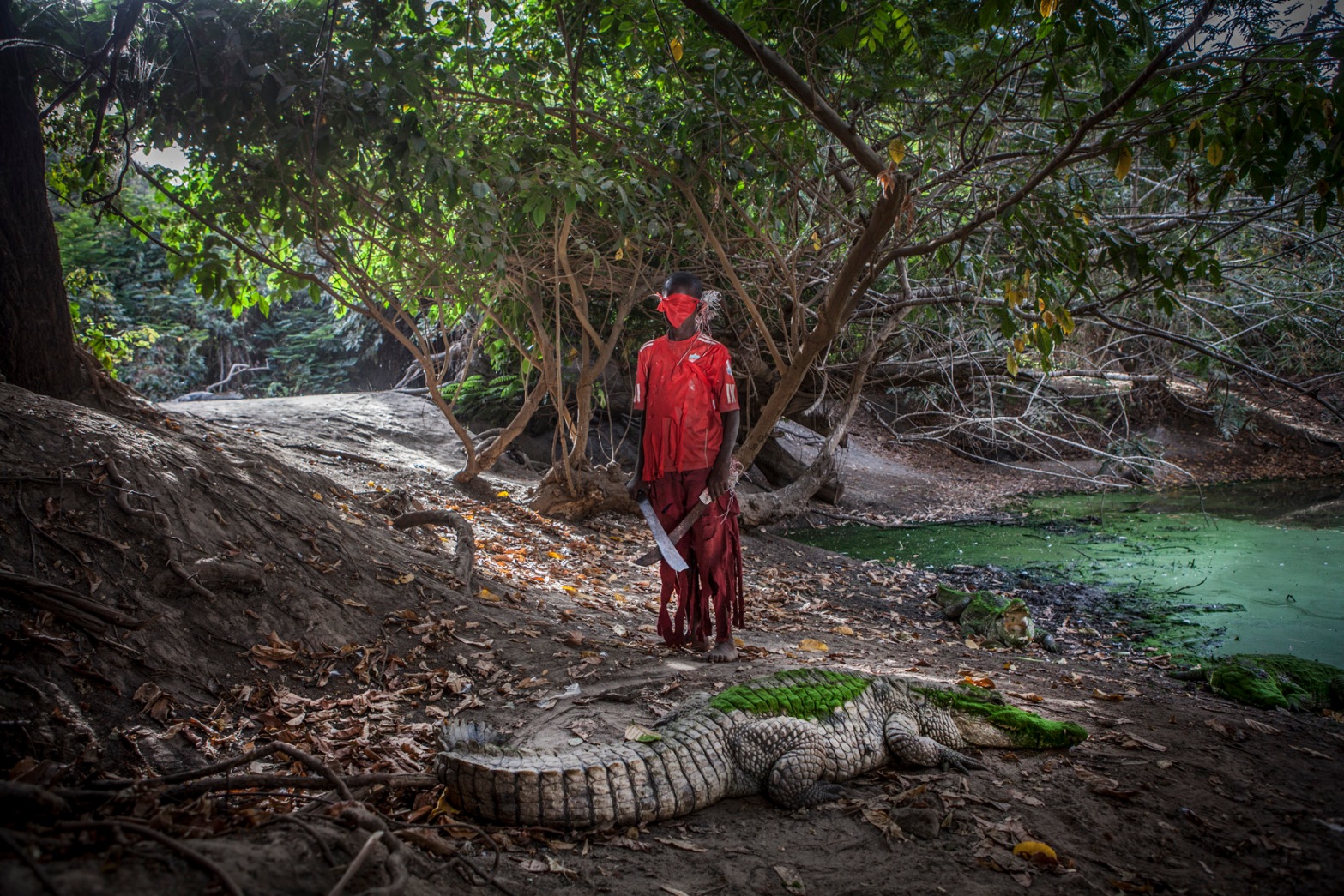 Photography prints - a young boy, wearing a mask and holding a machete, stands in front of a live crocodile, The Gambia, West Africa. Image ©Jason Florio