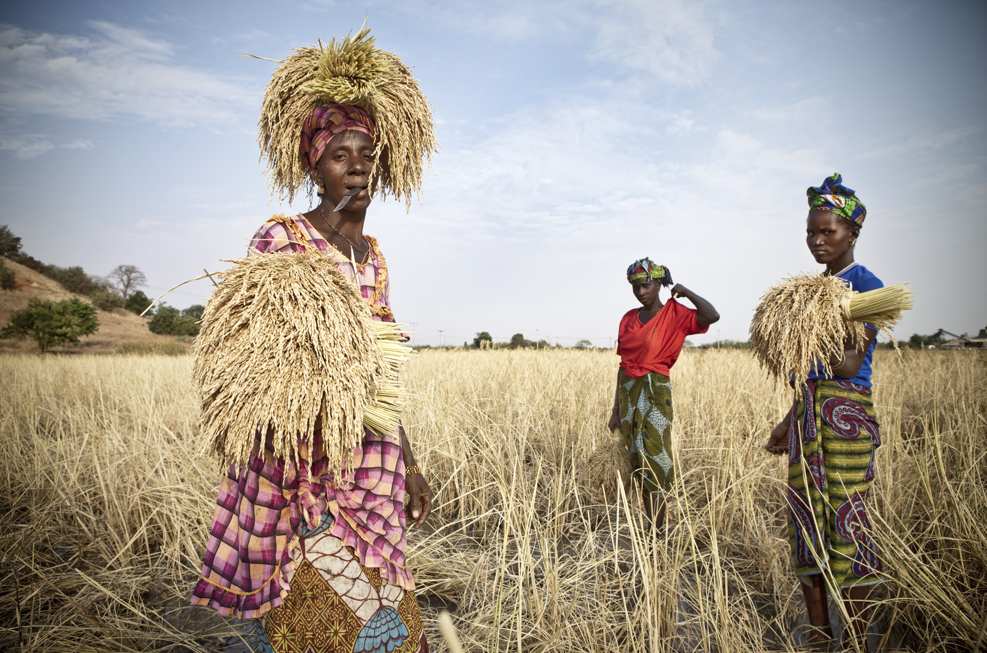 Three female rice harvesters, standing a rice field, looking at the camera, The Gambia, West Africa. Image ©Jason Florio